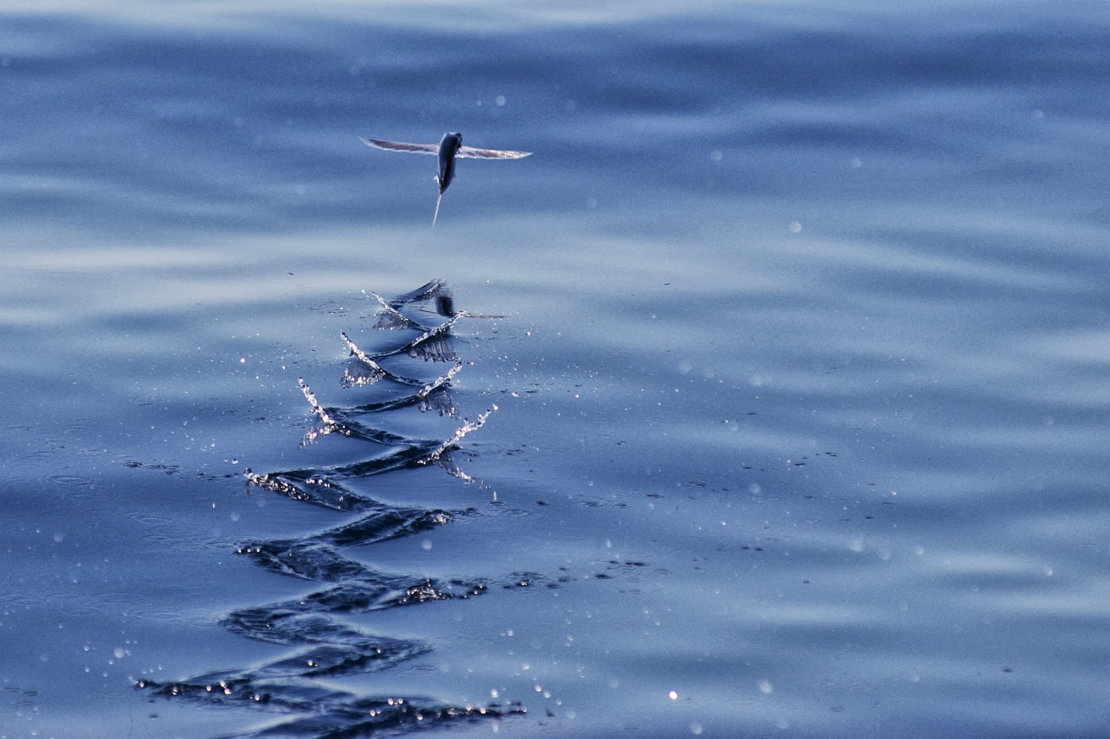 Акционные планшеты